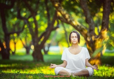 瓜子直播-世俱杯赛事技术统计误差纠正流程与申报制度