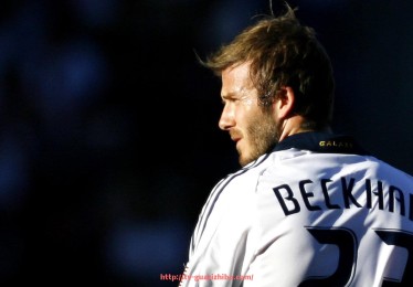 瓜子直播-杜锋教练执教CBA哪支球队？附历史战绩